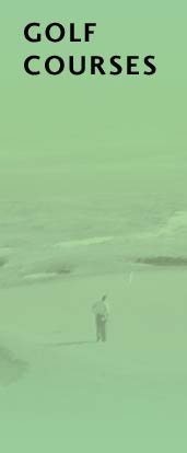 golf course laser leveling