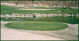 golf course renovation